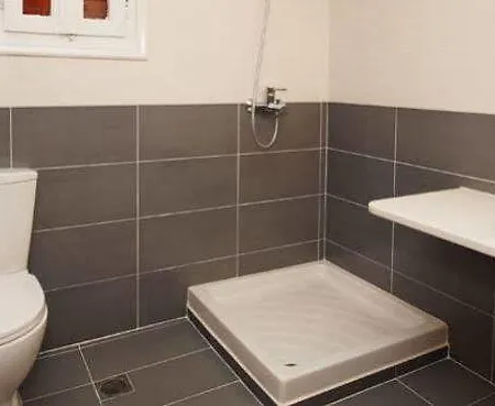 فاسيليس بيت ضيافة Mykonos Town